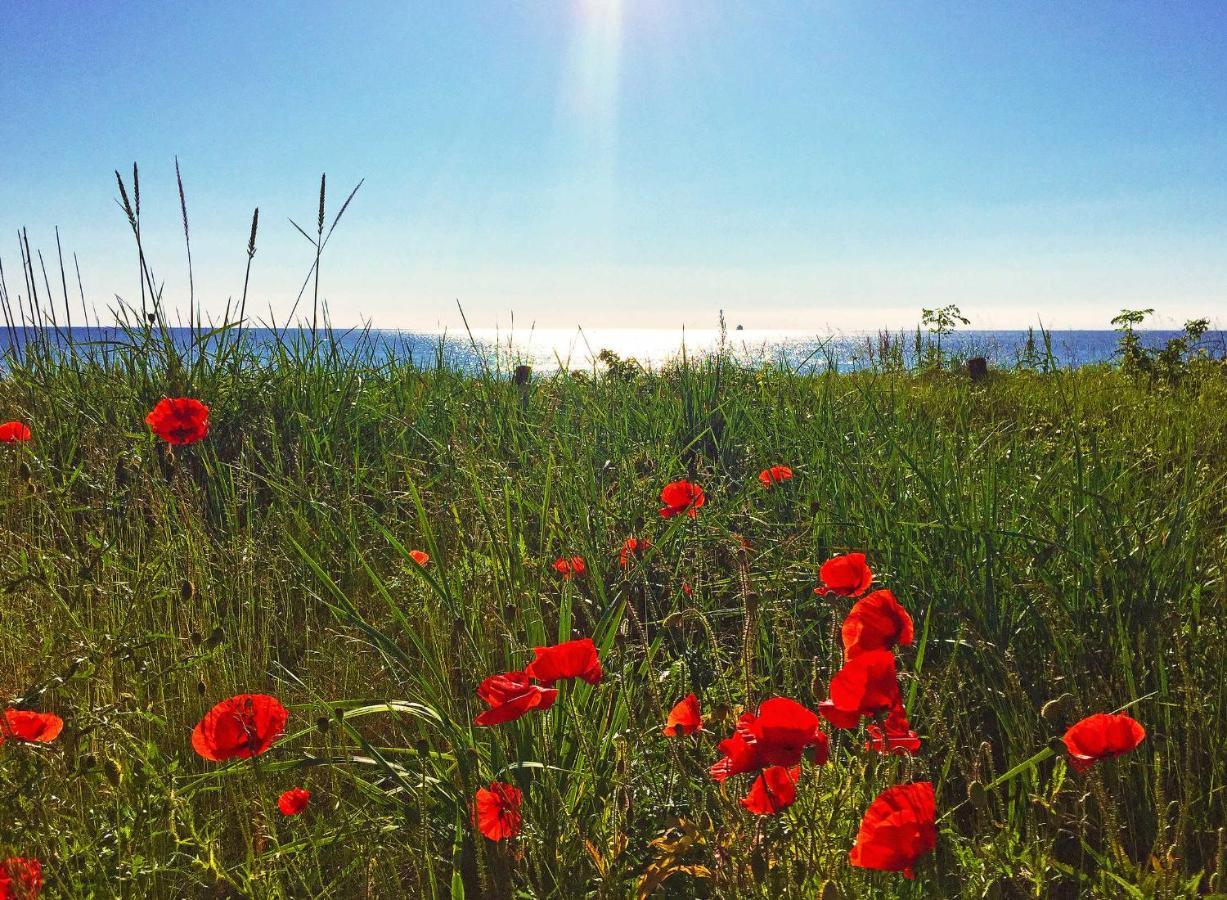 Strandresort Prora - Wg 216 Mit Meerblick Und Ir-Sauna Binz Dış mekan fotoğraf